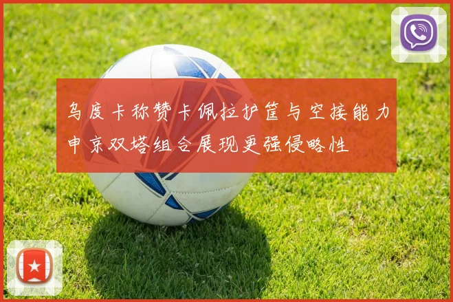 乌度卡称赞卡佩拉护筐与空接能力申京双塔组合展现更强侵略性