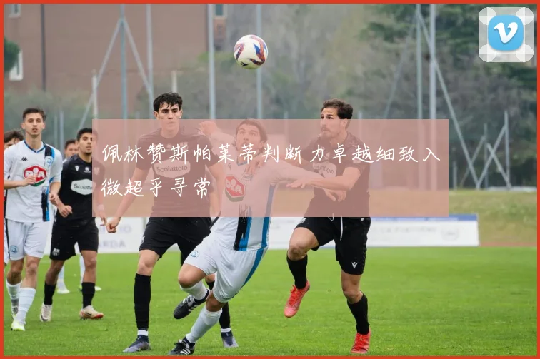 佩林赞斯帕莱蒂判断力卓越细致入微超乎寻常