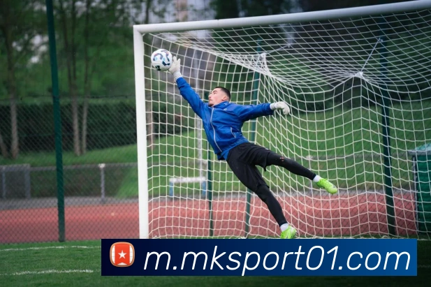 MK体育平台生态图